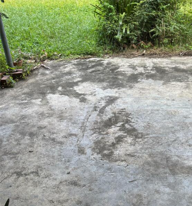 Premium Regular-Shaped Land – A Rare Find!